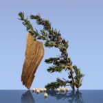 ⁦كالفن كلاين عطر سي كي بي - أو دو تواليت⁩ - الصورة ⁦3⁩