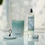 ⁦استيبان باريس بور لين بخاخ معطر الجو - 75 مل⁩ - الصورة ⁦2⁩