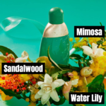 ⁦عطر ادن من كاشريل للنساء - 50مل - او دي بارفيوم⁩ - الصورة ⁦4⁩