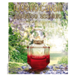 ⁦عطر باراديسو أوسولوتو من روبرتو كفالي للنساء - او دي بارفيوم⁩ - الصورة ⁦2⁩