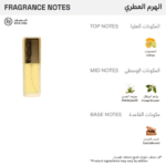 ⁦استي لودر عطر او دو برايفت كوليكشن سبراي - او دو برفيوم - 50مل⁩ - الصورة ⁦2⁩