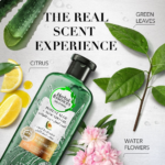 ⁦هيربال ايسنسز شامبو مرطب للشعر الكيرلي بزيت الافوكادو والصبار - 400 مل⁩ - الصورة ⁦2⁩