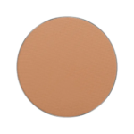 بودرة مضغوطة فريدوم سيستم بيرفكت فينيش من انجلوت