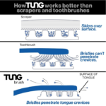 ⁦فرشاة تنظيف اللسان من تنج -1فرشاة⁩ - الصورة ⁦7⁩