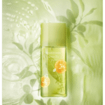 ⁦عطر قرين تي يوزو للنساء من اليزابيث اردن - او دي تواليت⁩ - الصورة ⁦3⁩