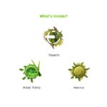 ⁦تريشوب شامبو عشبي لشعر صحي طويل وقوي - 400 مل + 132 مل مجانية⁩ - الصورة ⁦4⁩