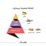 ⁦الماجد للعود عطر جسم رويال للرجال - 100مل⁩ - الصورة ⁦3⁩