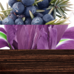 ⁦عطر ذا قيم من دافيدوف للرجال - او دي تواليت⁩ - الصورة ⁦2⁩