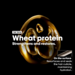 ⁦شامبو ابسولوت ريبير من لوريال بروفيشنال - 300مل⁩ - الصورة ⁦5⁩