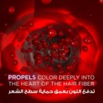 ⁦غارنييه صبغة الشعر اوليا دائمة وخالية من الامونيا - لوز⁩ - الصورة ⁦7⁩